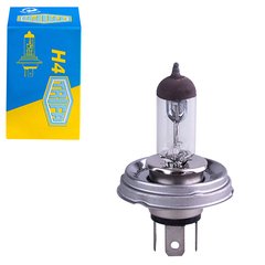 Лампа автомобільна Галогенна лампа для перегонів (rallye) H4 24V 100/90W