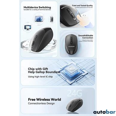 Миша безпровідна ESSAGER (Color box)Spirituel 2.4G wireless mouse Black